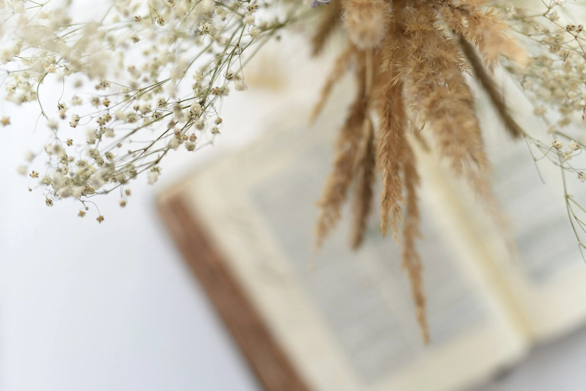 Delight in Obedience: A 22-Day Journey Through Psalm 119
