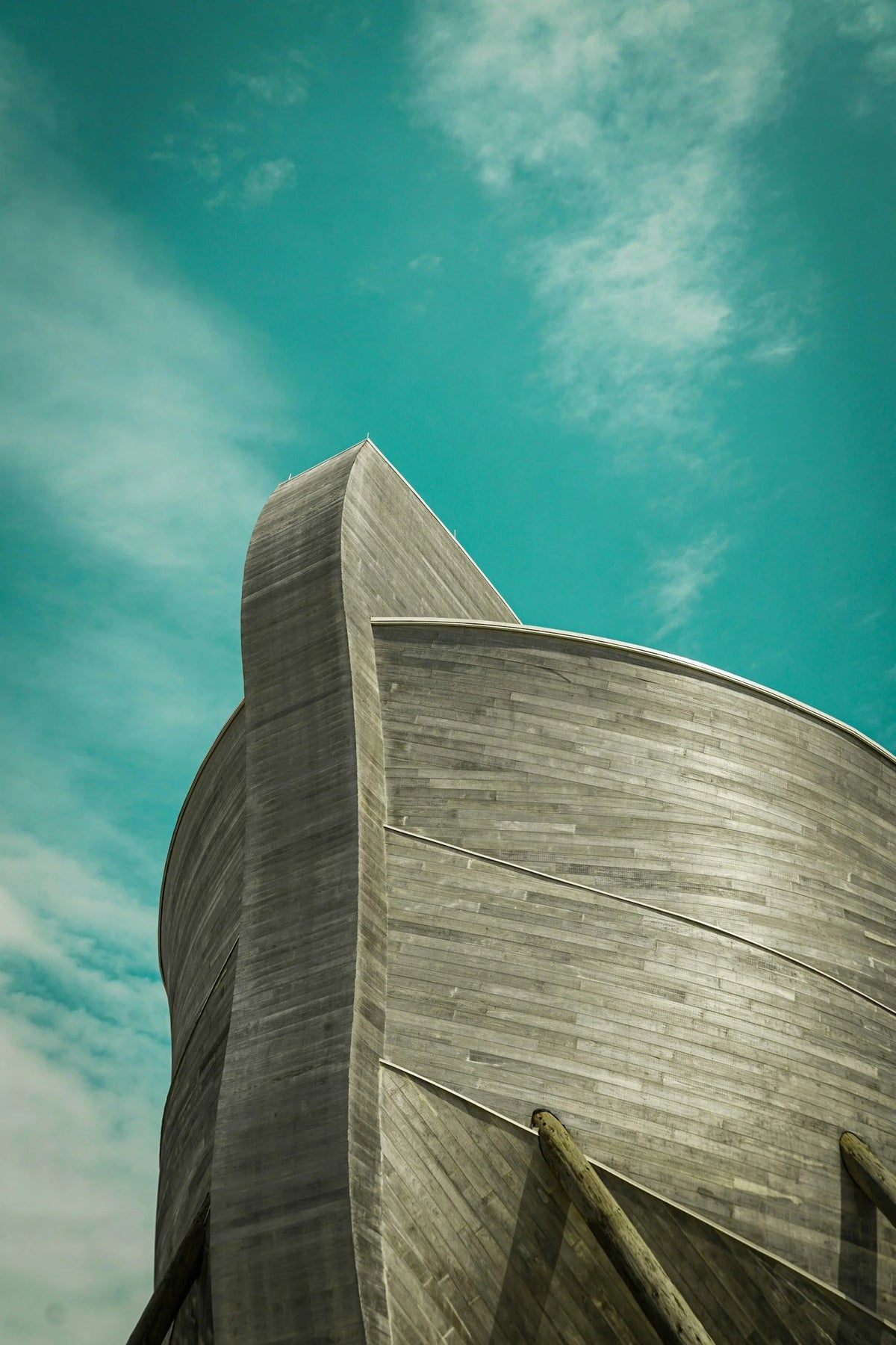 Lessons from the Ark: Called to Wait