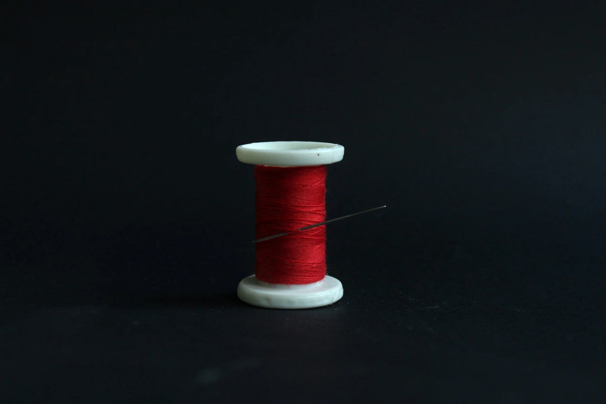 The Scarlet Thread: Rahab’s Story